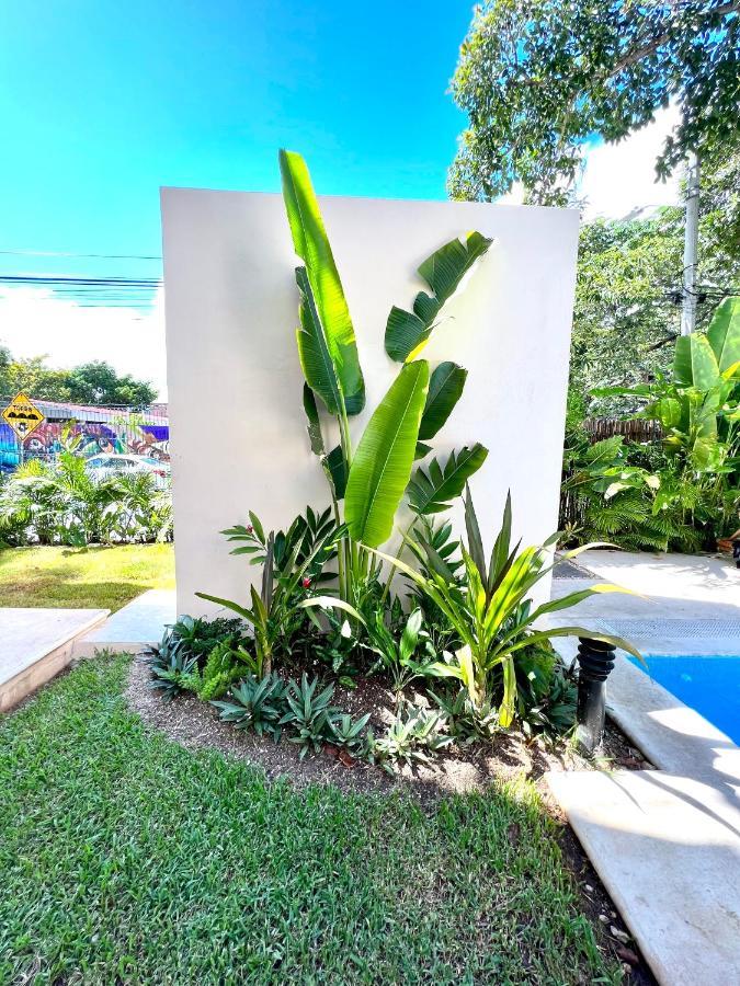 Apartamento Departamento En El Corazón De